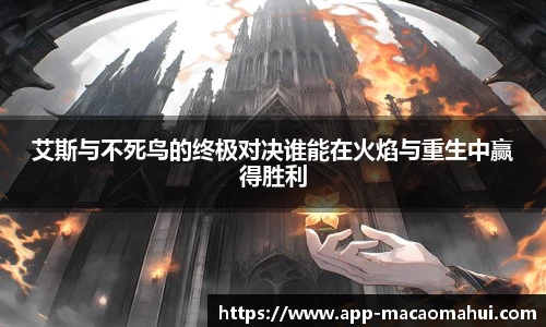 澳门600图库