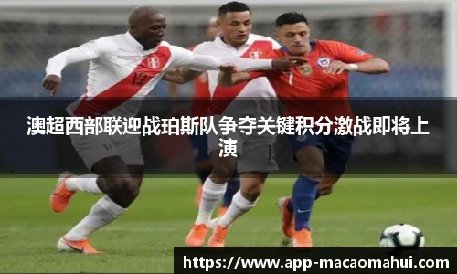 600图库